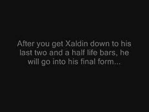 how to beat xaldin in kingdom hearts 2