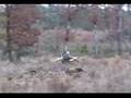 Jet A Ranch MX Training Track - Sand Section