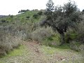 2Ş 2Ş