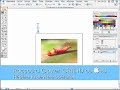Un nuancier rapide avec Illustrator