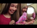 Locución TV - "Little Live Pets Birds" - Natalia #locutora -Views : 0