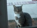 LIL GIRLLLL!=)