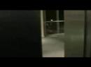 Thru The Novotel Thru The Novotel