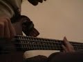 Funky Panther