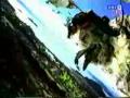 Click here to watch this video Nissan Maxima Pigeons