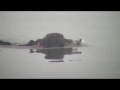 MOV089