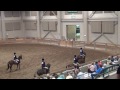 2012 Michigan All Morgan Hunt Seat Equitation 14-17