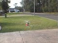 r/c helicopter crash r/c helicopter crash