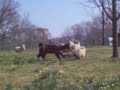 Spring Has Sprung