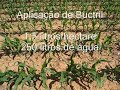 30� Dia    Herbicida p�s emerg�ncia  2008-06-06