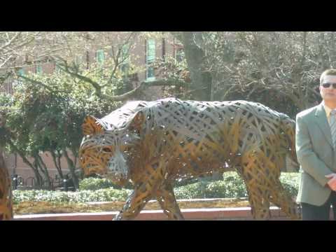 video-preview-image