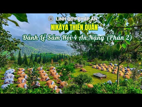 NIKAYA Thiền Quán - Đảnh Lễ Sám Hối 4 Ân Nặng ( Phần 2 )