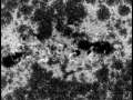 Semiconductor - Brilliant Noise, Sciene & Art Motion Image 2006