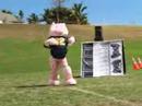 Three Little Pigs Three Little Pigs