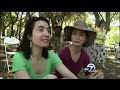 Stanford Laptop Orchestra: SLOrk on ABC 7 News