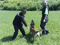 Malinois,Dixa Argalasov dvor training obrana 2008.