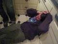 videos de A Token of My Extreme...