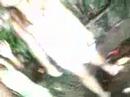 angel wegmann kissing baby 9 angel wegmann kissing baby 9