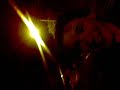 SpongeBob Drunk Singing Spongebob SpongeBob Drunk Singing Spongebob