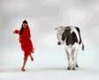 2008-05-31 | tango mucca vs donna ballerina ~> bellino...novit spettacolo (00:33)