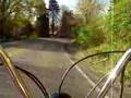 Negrini Driving