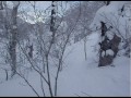 Click here to watch this video パウダースキー ツリーラン編⑤