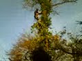 Elagage �houpage