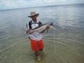 FISH COBIA 40'in