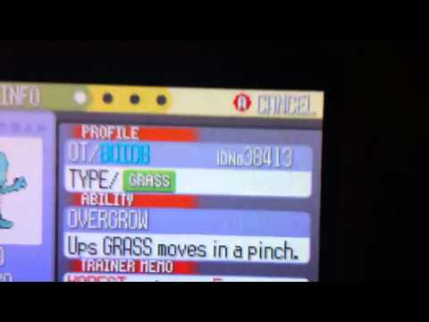 treecko