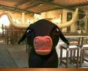 Stop Motion - Cuando Canta el Toro
