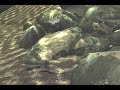 Bass Fishing Tips and Techniques- Rip Rap