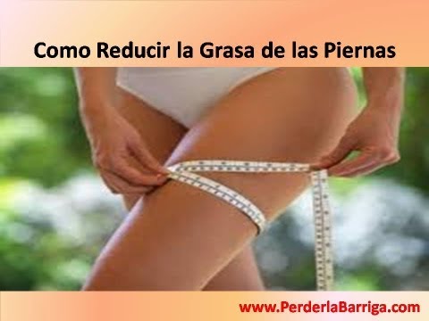 videos gordas gordas