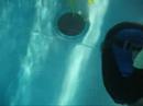 61 year young freediver Norbert Heumayer from Austria