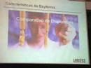 Lanxess 05 - Confer�ncia T�cnica 2008 - Oswaldo Cruz