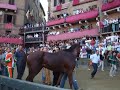 Palio dell'assunta di siena 2008: Prima prova