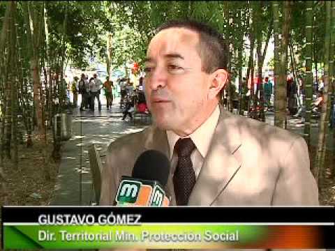 Medellín contra el trabajo infantil