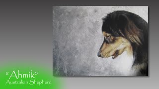 Speed painting Australian Shepherd in acrylics and colored pencil