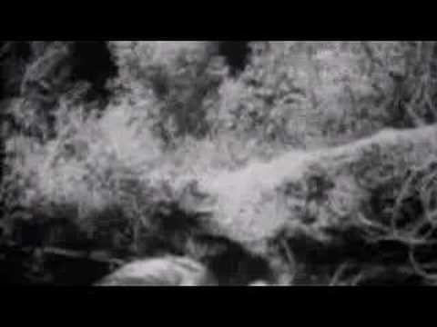 b movies - This is a compilation of 1950s B-movies which I used for a class presentation on the decade. Hope its useful for any who watch or use it.