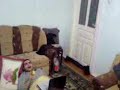 To turn off  lights