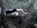 Training-for-Ninja-W