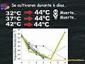 Creacionismo ¡A prueba! 5 - Mutaciones (4de4) Superación