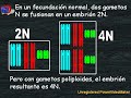 Creacionismo ¡A prueba! 5 - Mutaciones (4de4) Superación