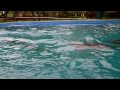 YouTube - Feeding the dolphins at SeaWorld San Antonio Part 1