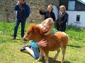 Jivaro emotion