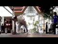 Dance Arts of Aiichiro Miyagawa (Noism) 1-2