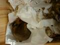 Hamster Anja