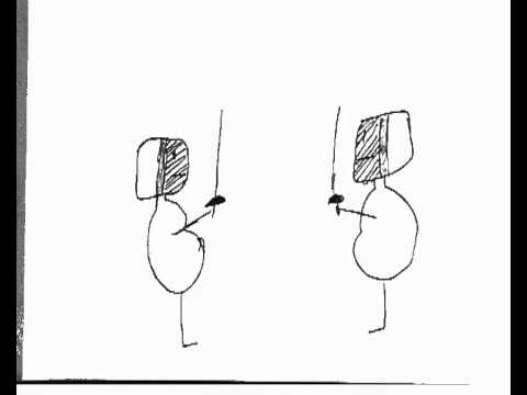 Dan Ellison olympics animation