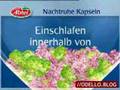 Abtei Nachtruhe