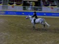 Jr Working Hunter - Winning Touch & Olivia Irving