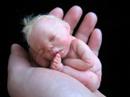 ???????????? OOAK clay baby sculpt No.3 ???????????? OOAK clay baby sculpt No.3
